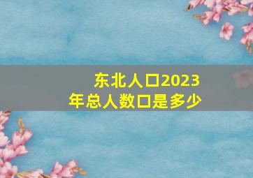 东北人口2023年总人数口是多少