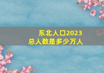 东北人口2023总人数是多少万人