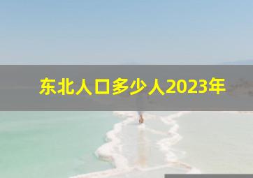 东北人口多少人2023年