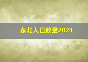 东北人口数量2023