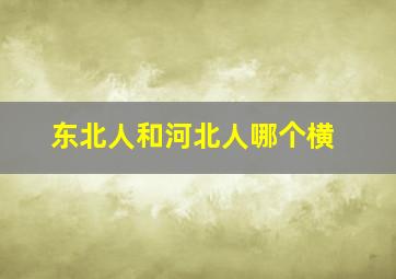 东北人和河北人哪个横