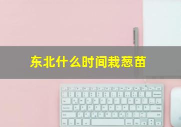 东北什么时间栽葱苗