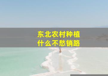 东北农村种植什么不愁销路