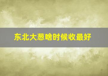 东北大葱啥时候收最好