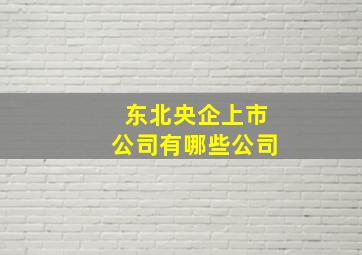 东北央企上市公司有哪些公司