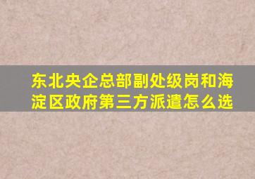 东北央企总部副处级岗和海淀区政府第三方派遣怎么选