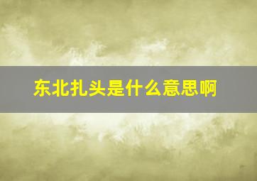 东北扎头是什么意思啊