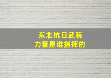 东北抗日武装力量是谁指挥的