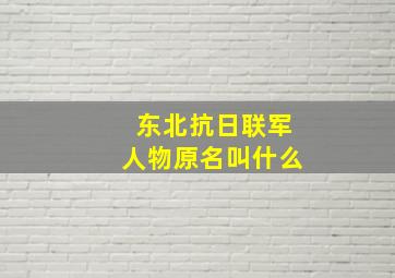 东北抗日联军人物原名叫什么