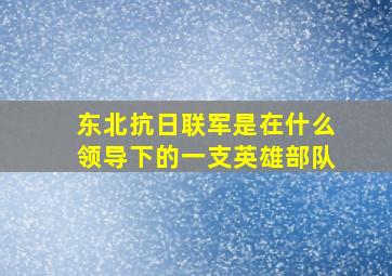 东北抗日联军是在什么领导下的一支英雄部队