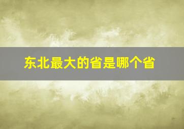 东北最大的省是哪个省