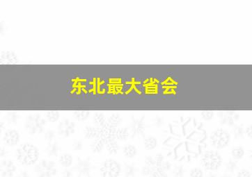 东北最大省会