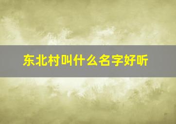 东北村叫什么名字好听