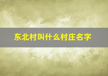 东北村叫什么村庄名字