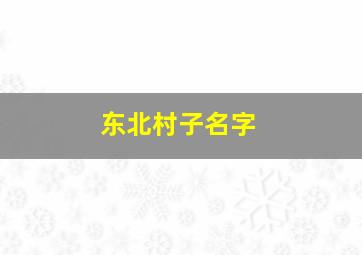 东北村子名字