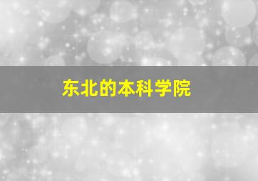 东北的本科学院