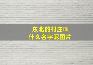 东北的村庄叫什么名字呢图片