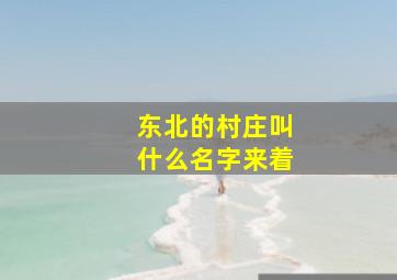 东北的村庄叫什么名字来着