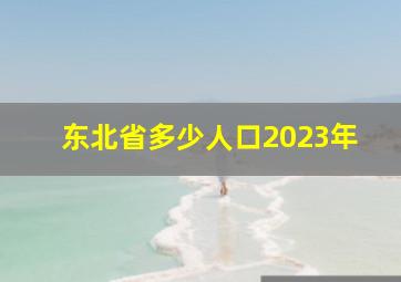 东北省多少人口2023年