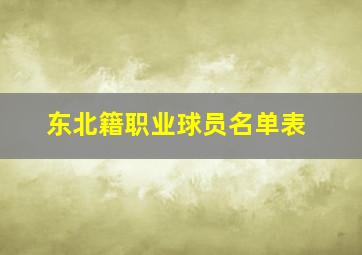 东北籍职业球员名单表