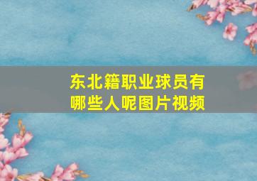 东北籍职业球员有哪些人呢图片视频