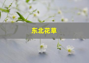 东北花草