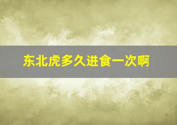 东北虎多久进食一次啊