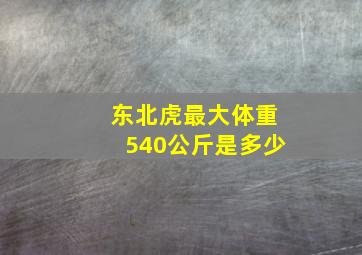 东北虎最大体重540公斤是多少