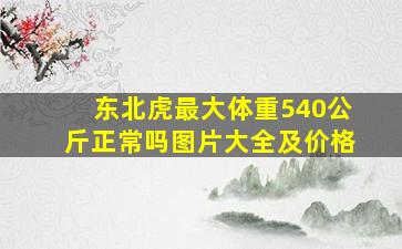 东北虎最大体重540公斤正常吗图片大全及价格