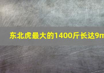 东北虎最大的1400斤长达9m