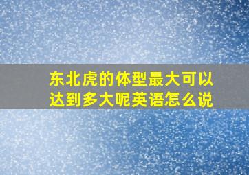 东北虎的体型最大可以达到多大呢英语怎么说