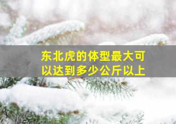 东北虎的体型最大可以达到多少公斤以上