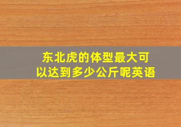 东北虎的体型最大可以达到多少公斤呢英语