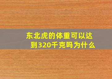 东北虎的体重可以达到320千克吗为什么