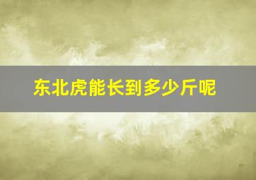 东北虎能长到多少斤呢