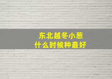 东北越冬小葱什么时候种最好