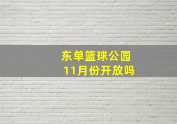 东单篮球公园11月份开放吗