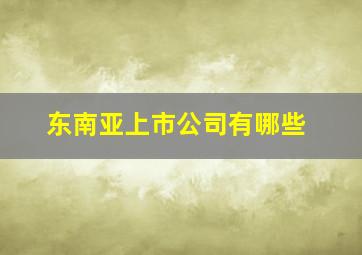 东南亚上市公司有哪些