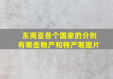 东南亚各个国家的分别有哪些物产和特产呢图片