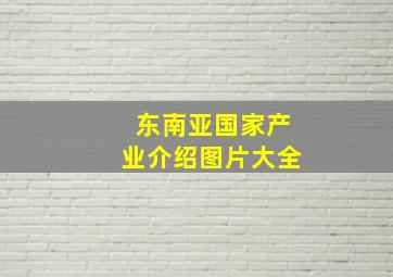 东南亚国家产业介绍图片大全