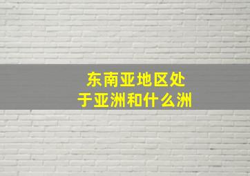 东南亚地区处于亚洲和什么洲