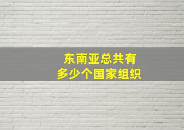 东南亚总共有多少个国家组织