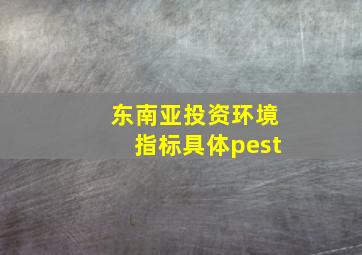 东南亚投资环境指标具体pest