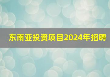 东南亚投资项目2024年招聘