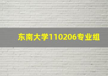 东南大学110206专业组