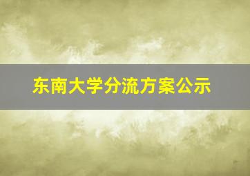 东南大学分流方案公示