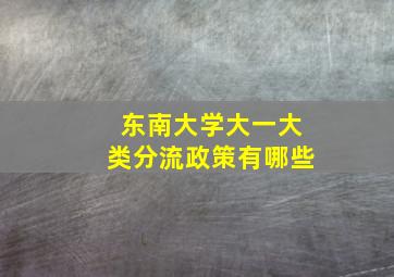 东南大学大一大类分流政策有哪些