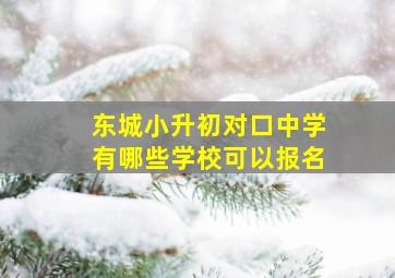 东城小升初对口中学有哪些学校可以报名