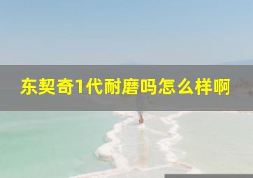 东契奇1代耐磨吗怎么样啊