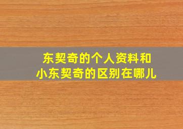 东契奇的个人资料和小东契奇的区别在哪儿